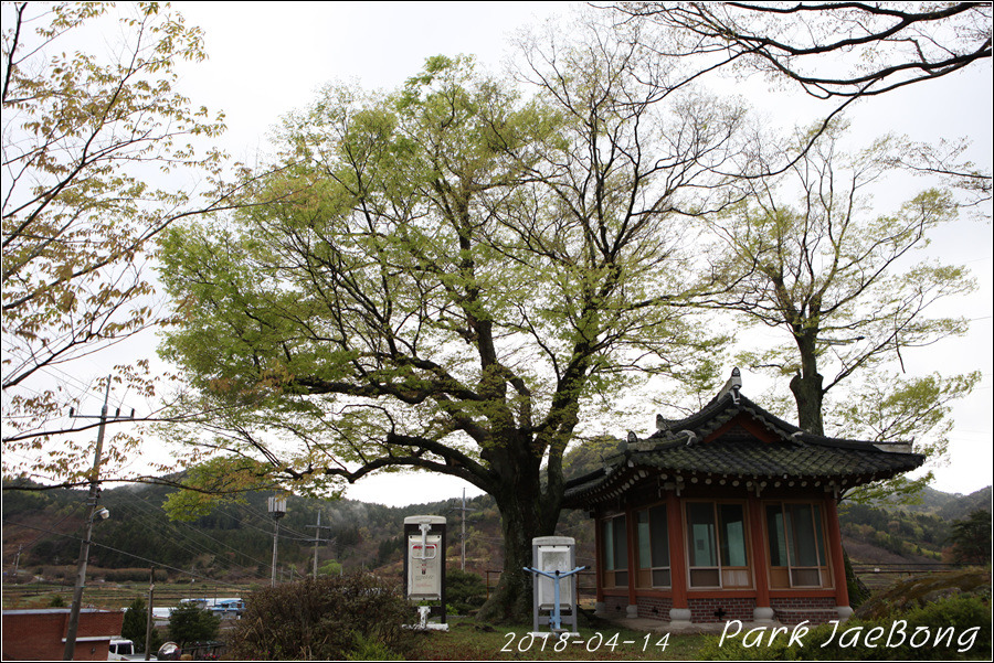 순천꽃마차마을 이미지