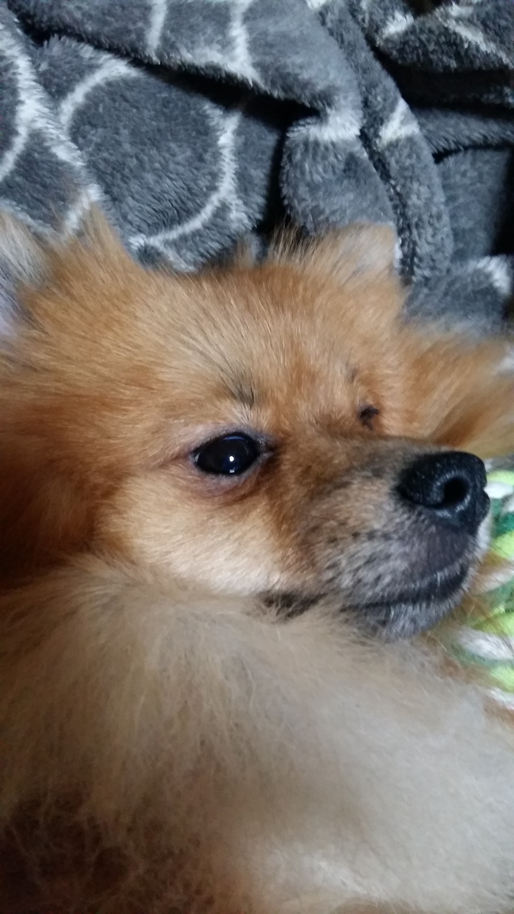 예수쟁이.