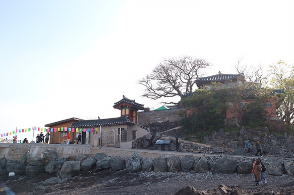 원본이미지(클릭)