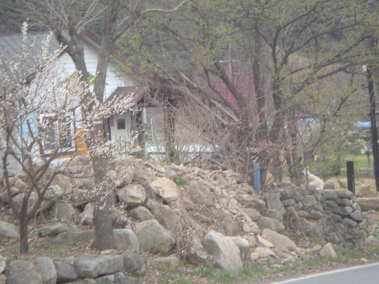 4월1주/산냥이 소식/19