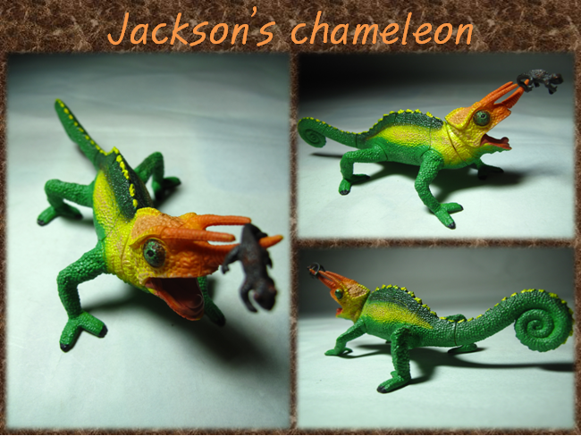 jackson chameleon stuffed animal